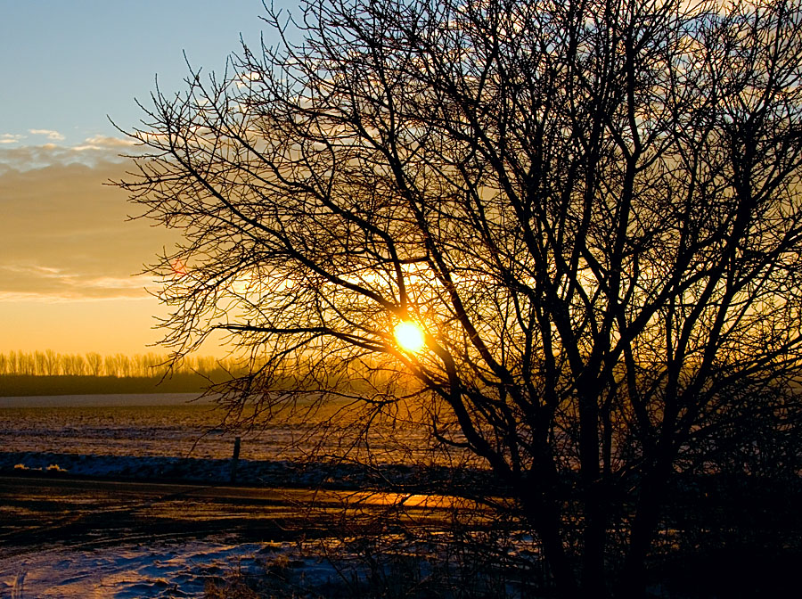 Heute Morgen......