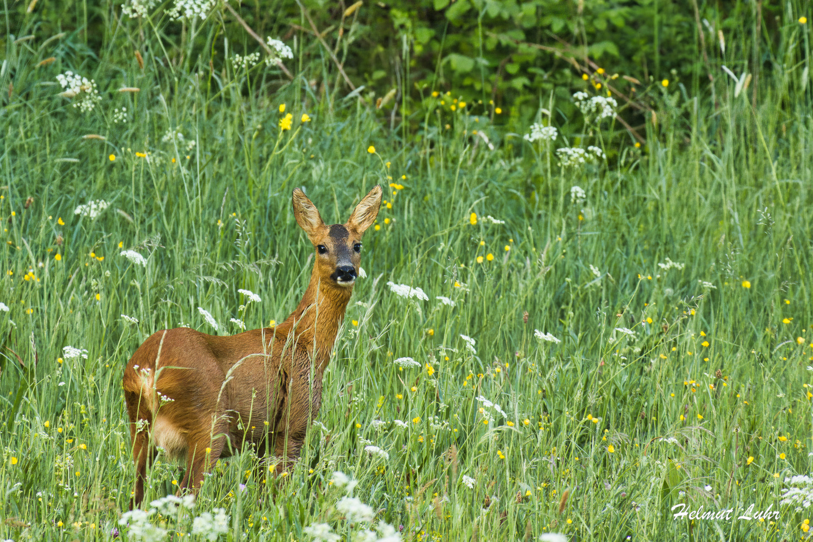 Heute morgen . . .