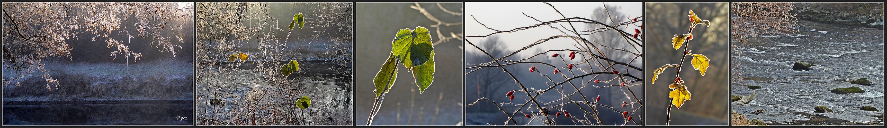 Heute Morgen