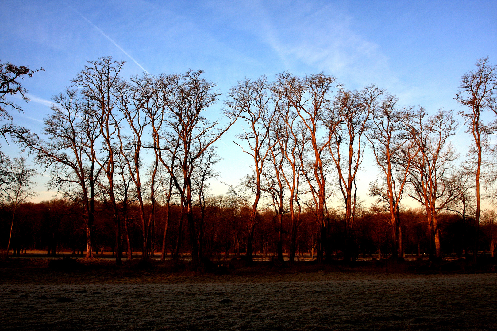 ...heute morgen