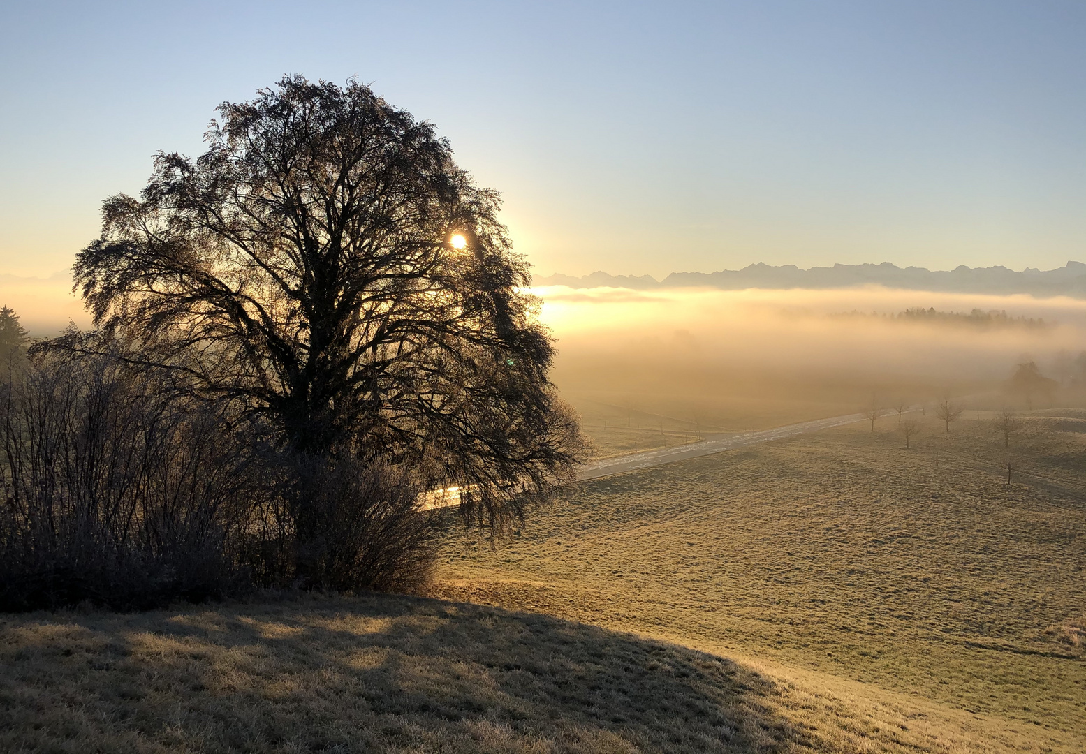 Heute morgen