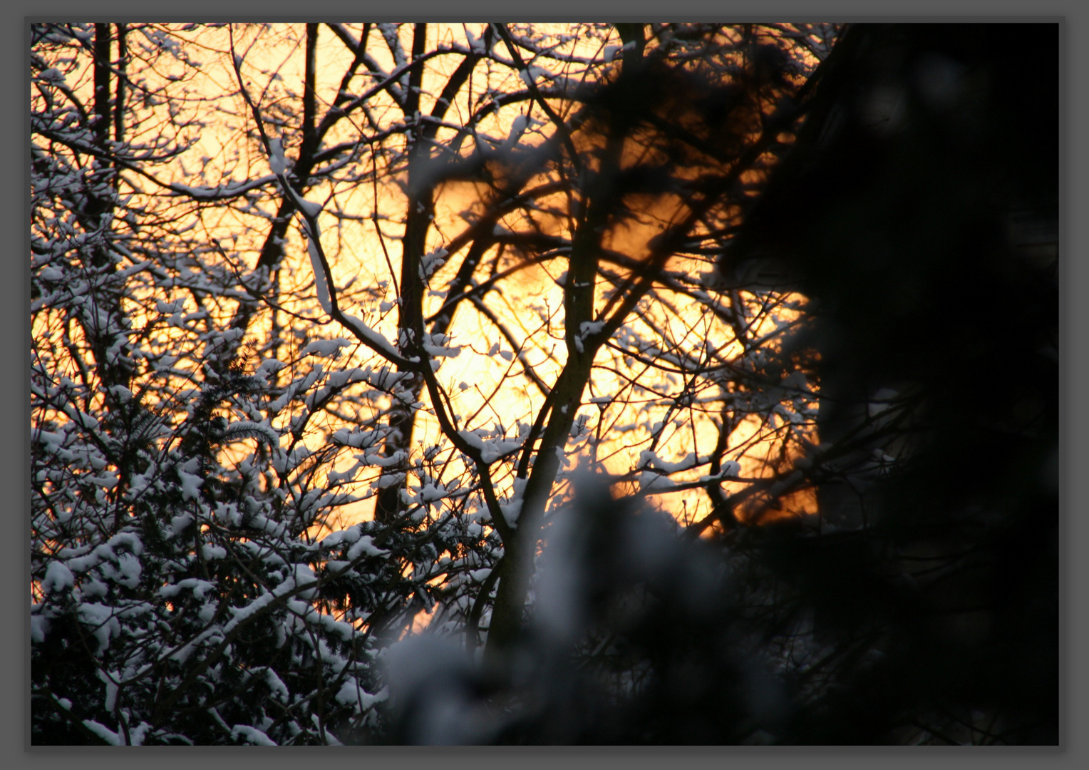 Heute Morgen als die Sonne aufging