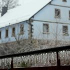 heute morgen am Balkon