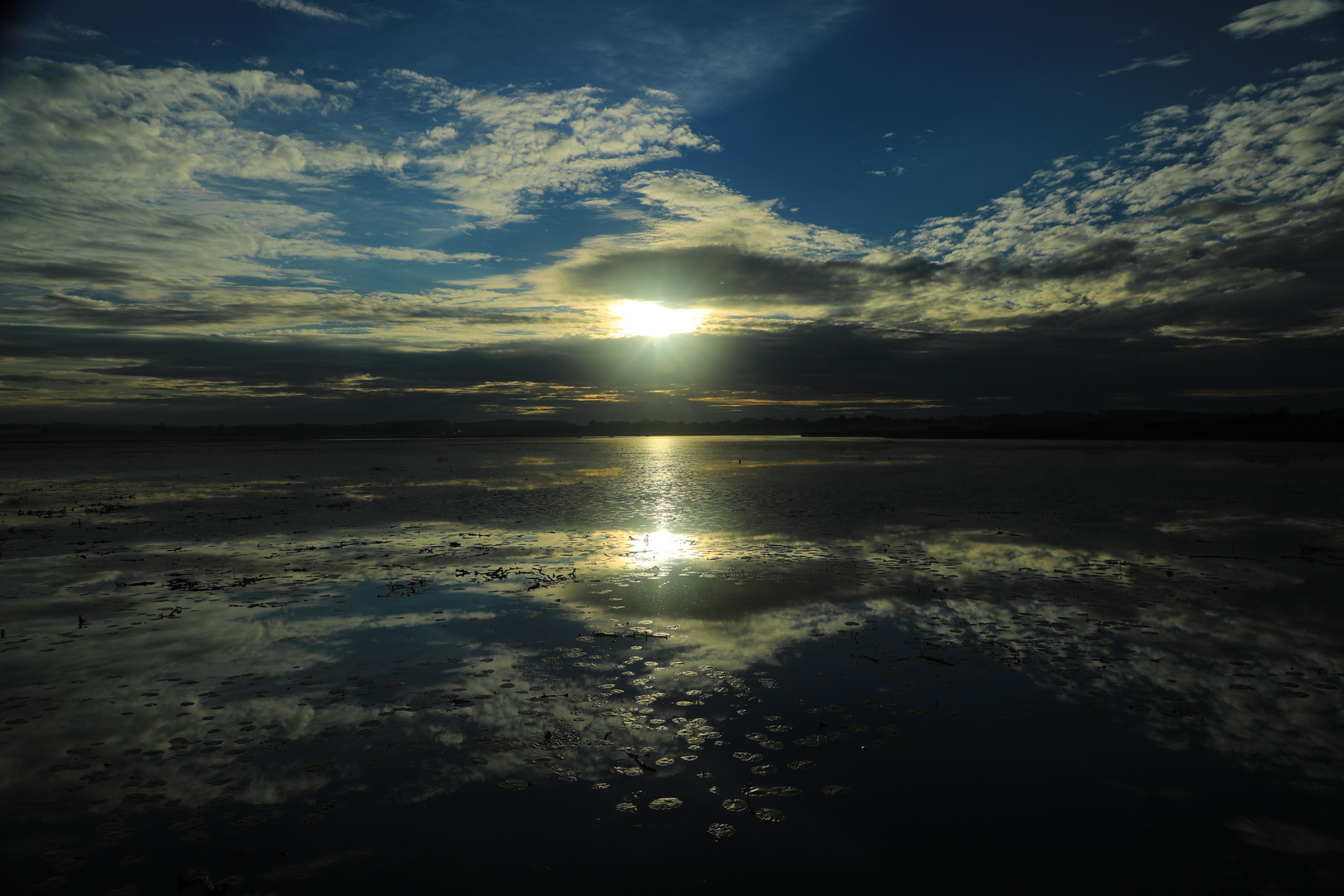 Heute Morgen am Federsee