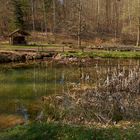 Heute morgen am Felsenweiher, nur die Vögel waren zu hören, ein Ort zum abschalten...