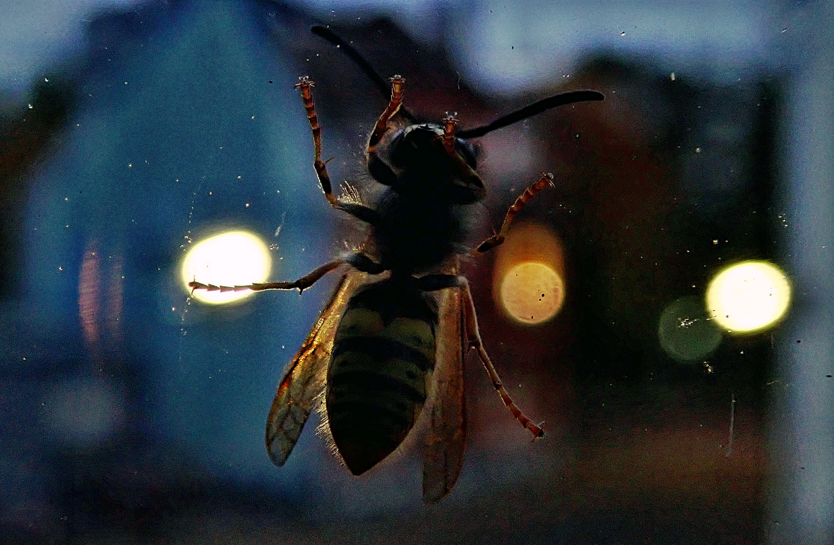 Heute Morgen am Fenster