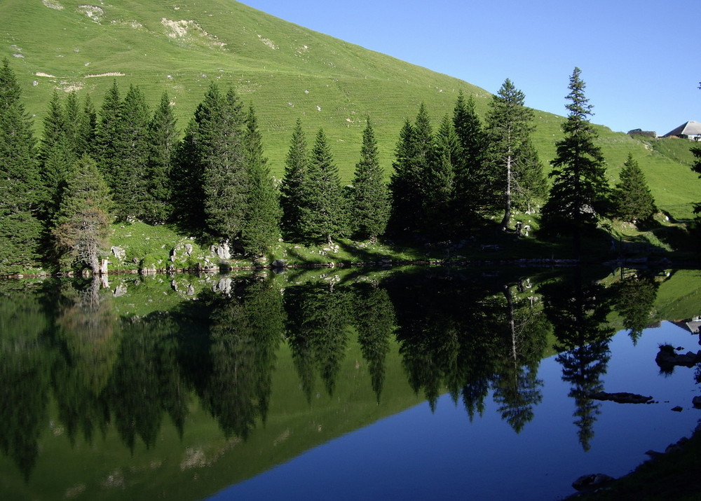 Heute morgen am Gantrischsee