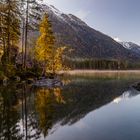 Heute morgen am Hintersee