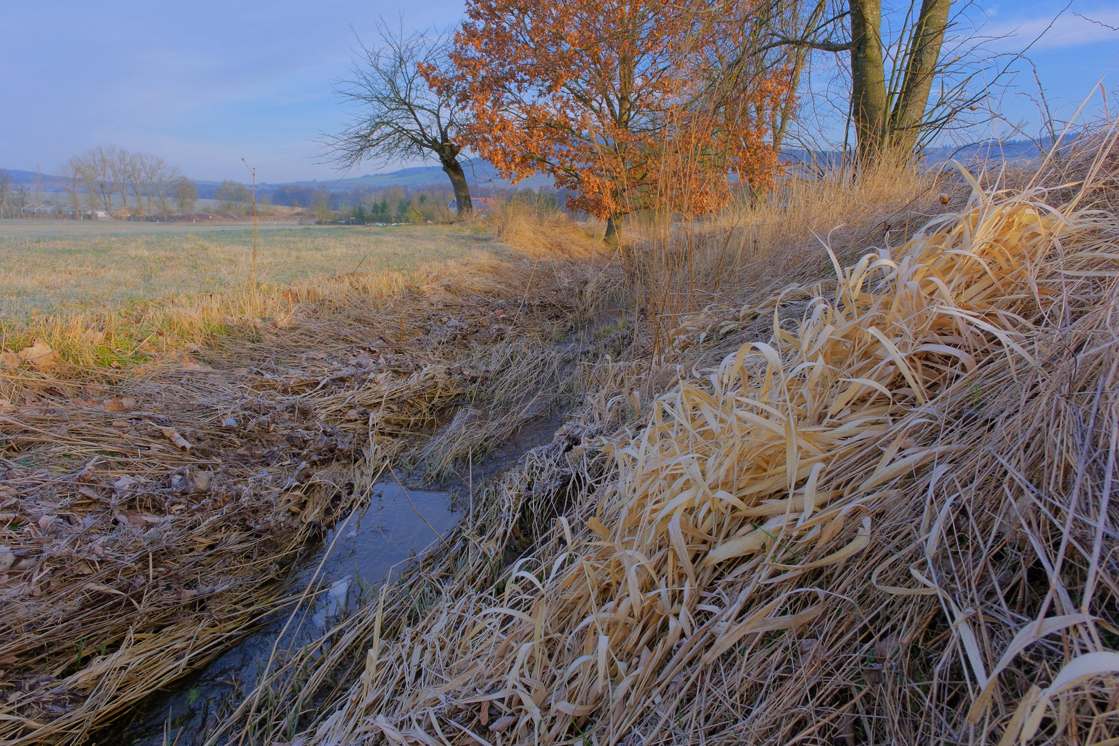 heute Morgen am kleinen Bach