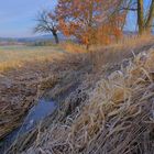 heute Morgen am kleinen Bach