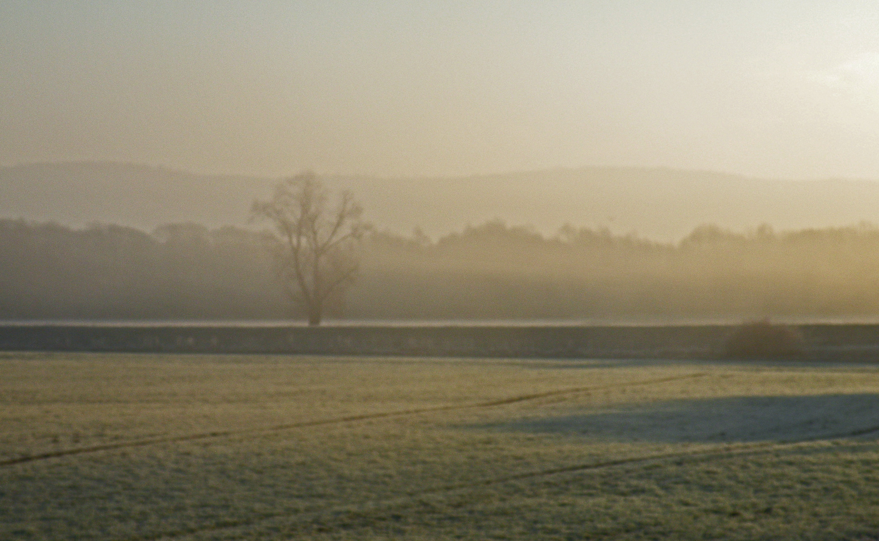 Heute morgen am Leinepolder bei Hollenstedt.