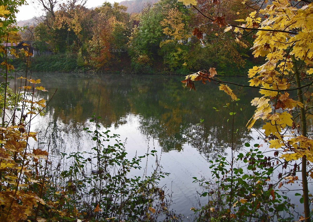 Heute morgen am Neckar 1