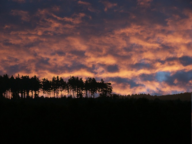 Heute Morgen am Roten Moor