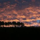 Heute Morgen am Roten Moor