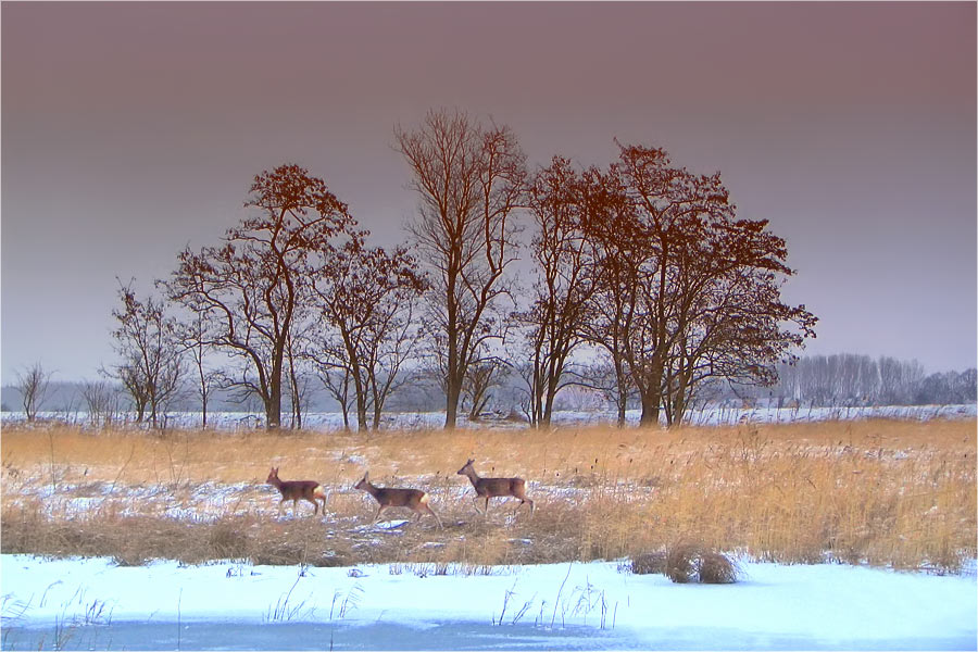 Heute morgen am See...