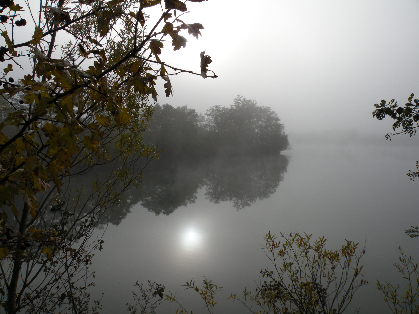 Heute Morgen am See.