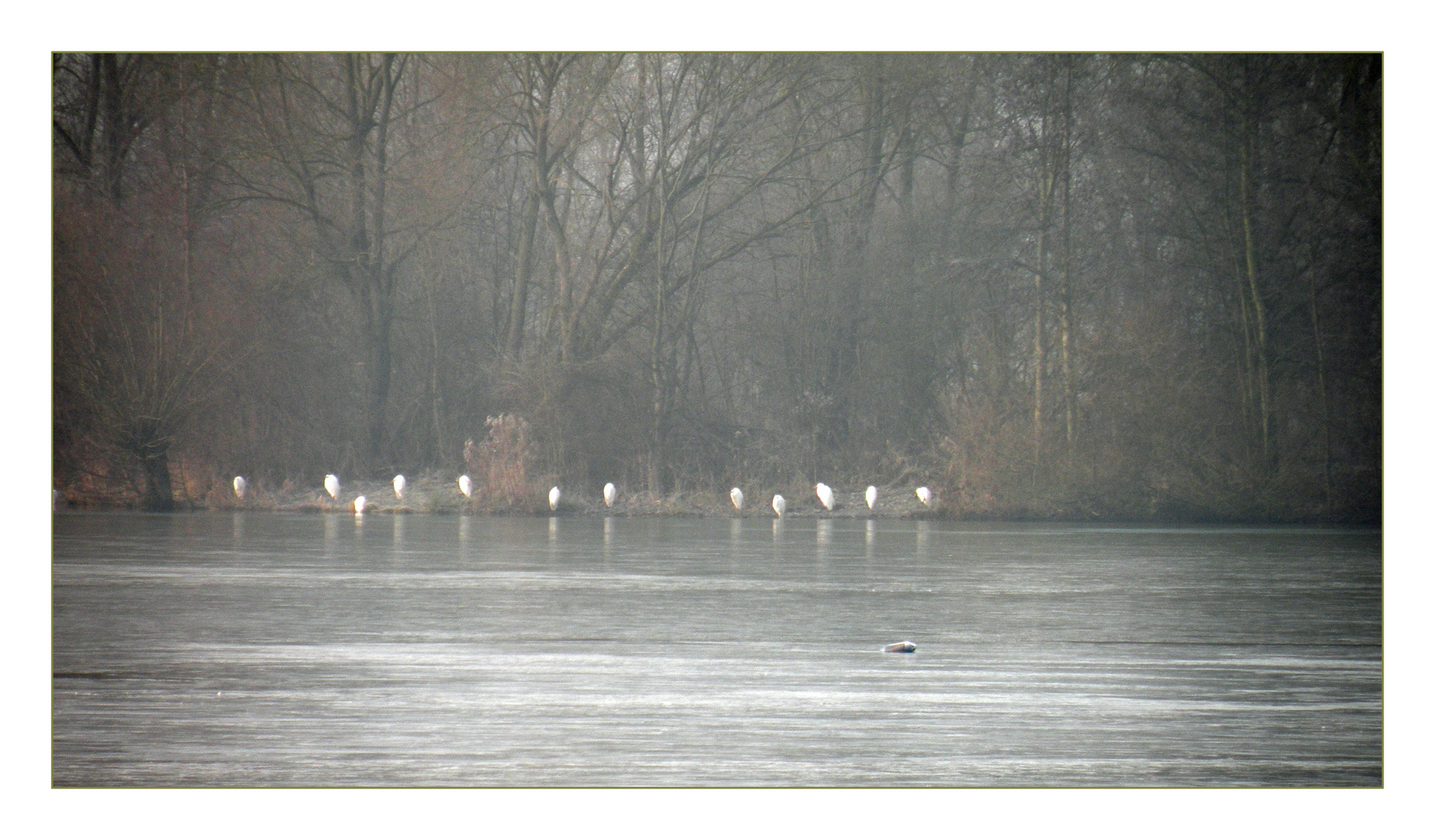 Heute morgen am See