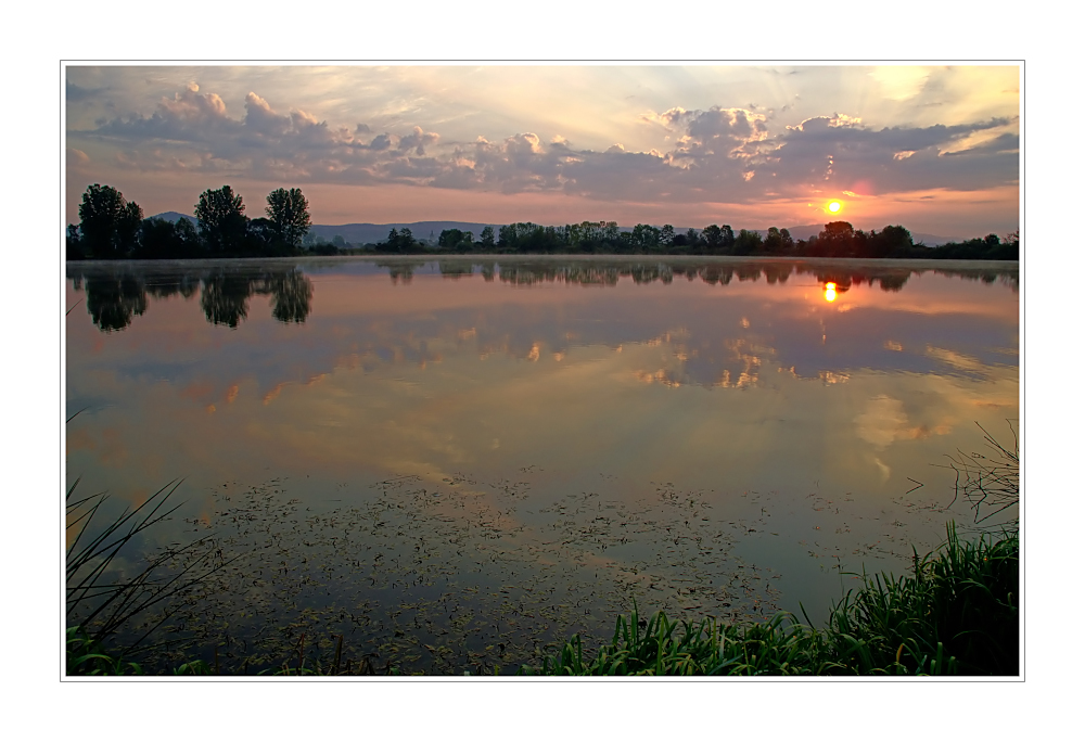 Heute Morgen am See