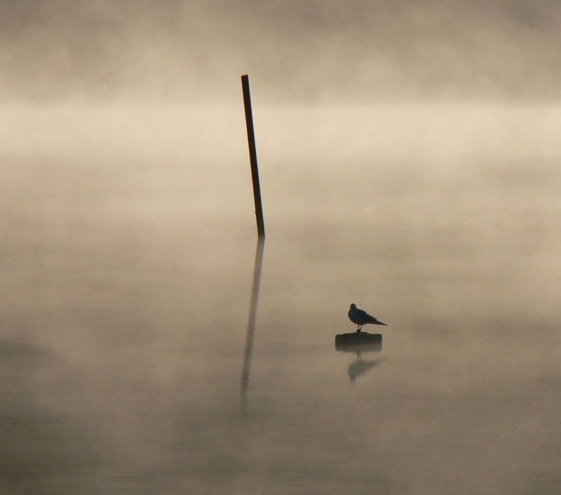 Heute Morgen am See