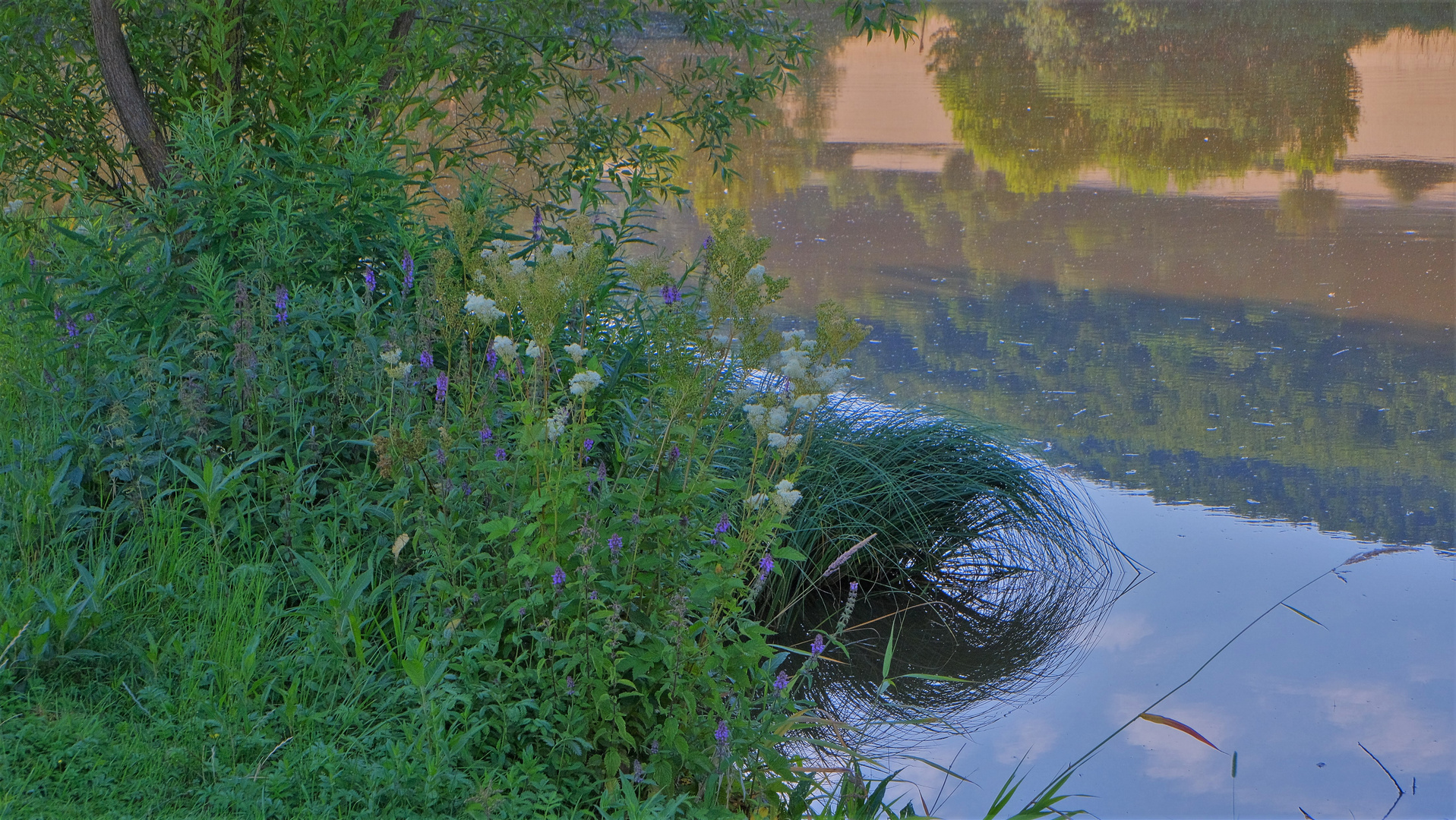 heute morgen am See (esta mañana en el lago)