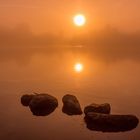 Heute Morgen am Seeweiher