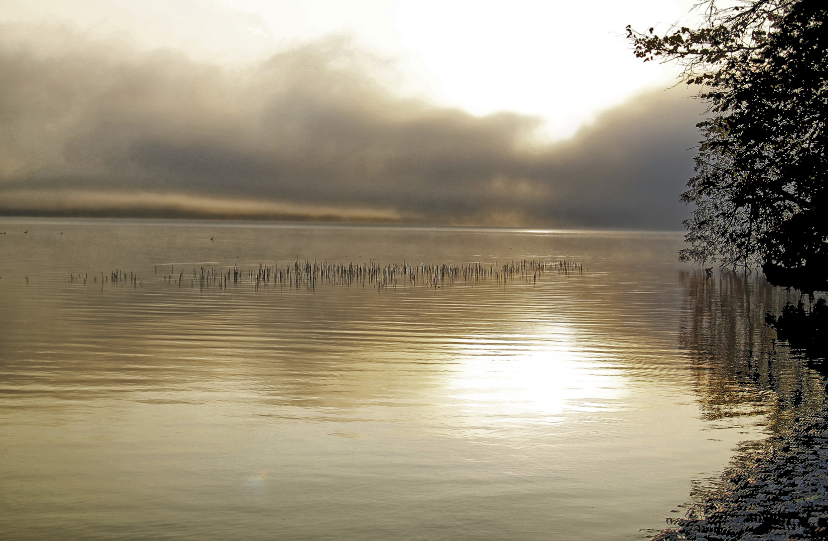 Heute Morgen am Starnberger See