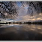 Heute Morgen an der Elbe...