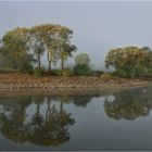 Heute Morgen  an der  Elbe