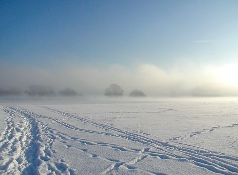 heute Morgen an der Elbe - ein Licht - unglaublich (26.01.07)