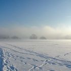 heute Morgen an der Elbe - ein Licht - unglaublich (26.01.07)