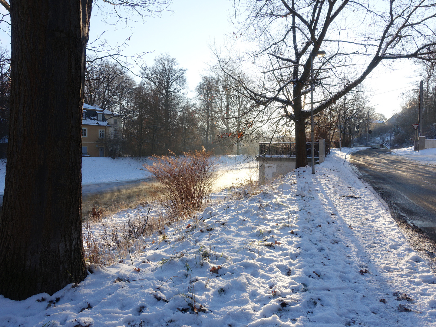 Heute Morgen an der Elster bei- 14 Grad