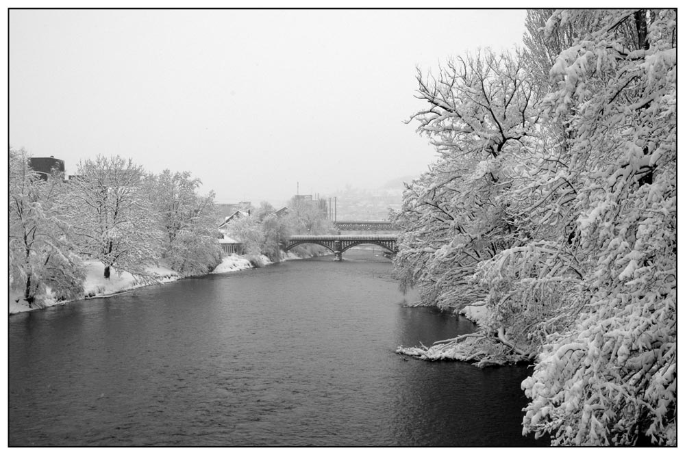 Heute morgen an der Limmat