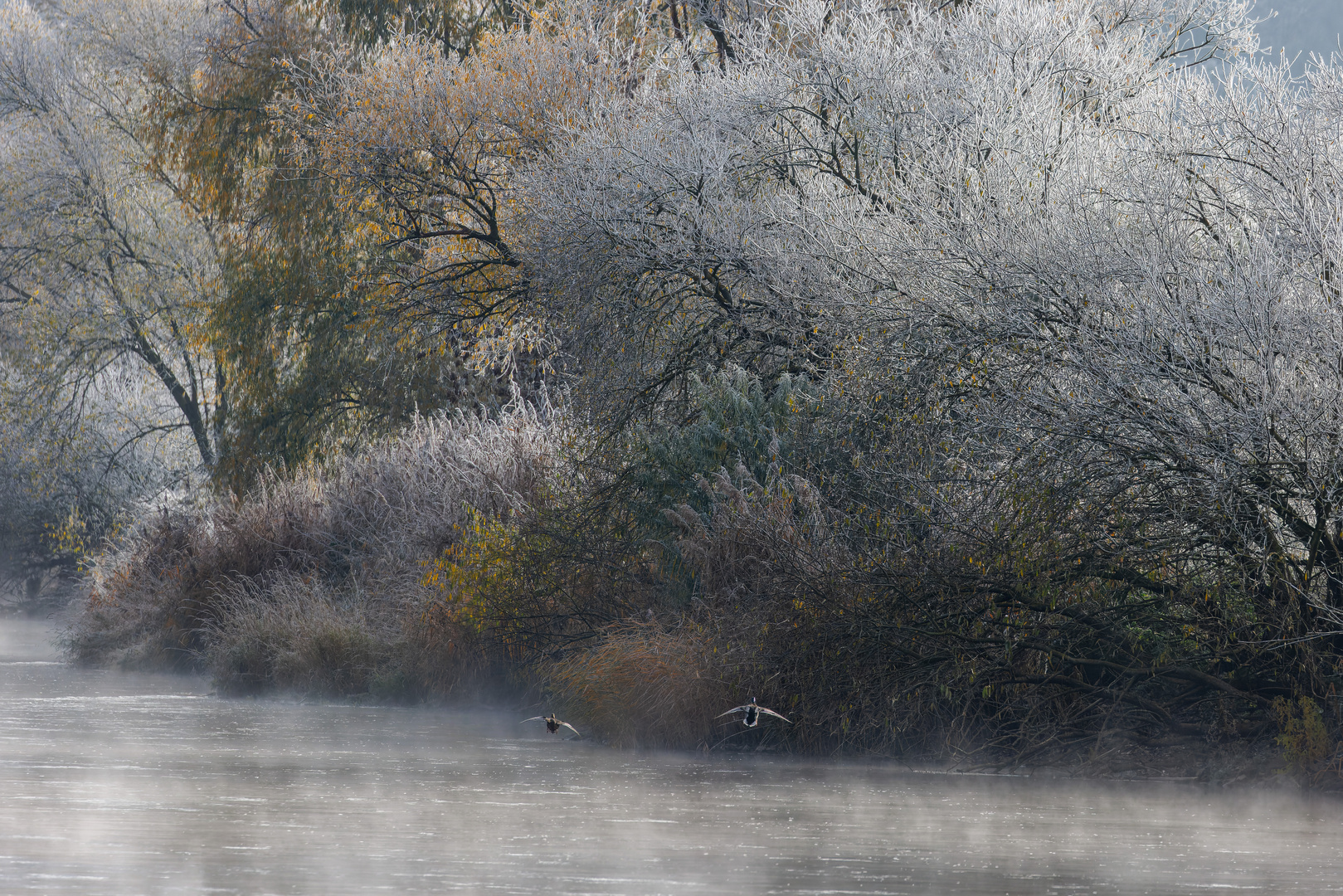 Heute morgen an der Oberweser bei Bodenfelde 