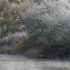 Heute morgen an der Oberweser bei Bodenfelde 