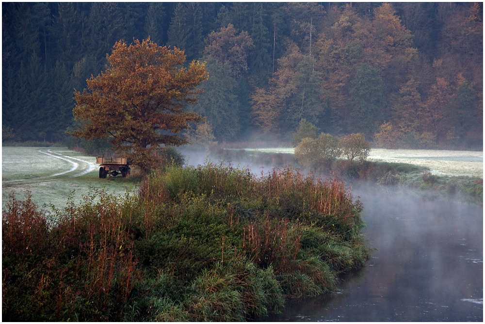 Heute morgen an der Schwarzach