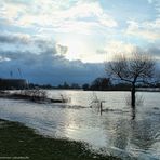 heute morgen an der Weser