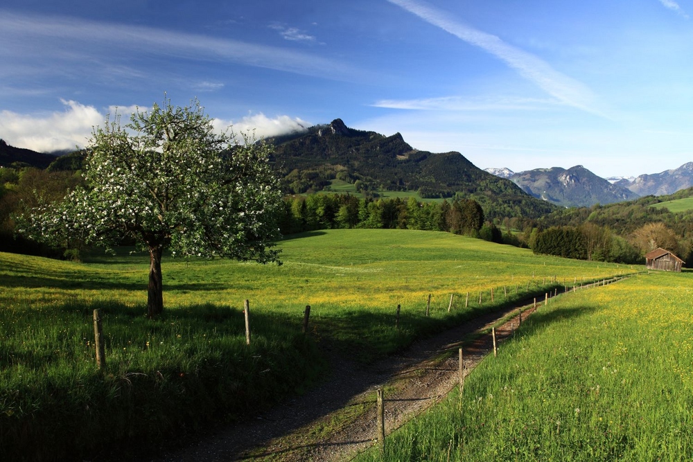 ...heute morgen auf dem Samerberg mit Blick zum Heuberg (2)...