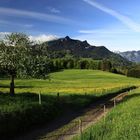 ...heute morgen auf dem Samerberg mit Blick zum Heuberg (2)...