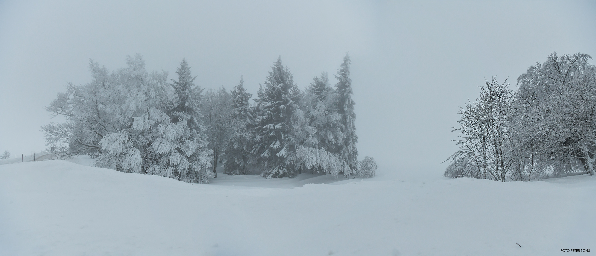 Heute Morgen auf dem Schauinsland …