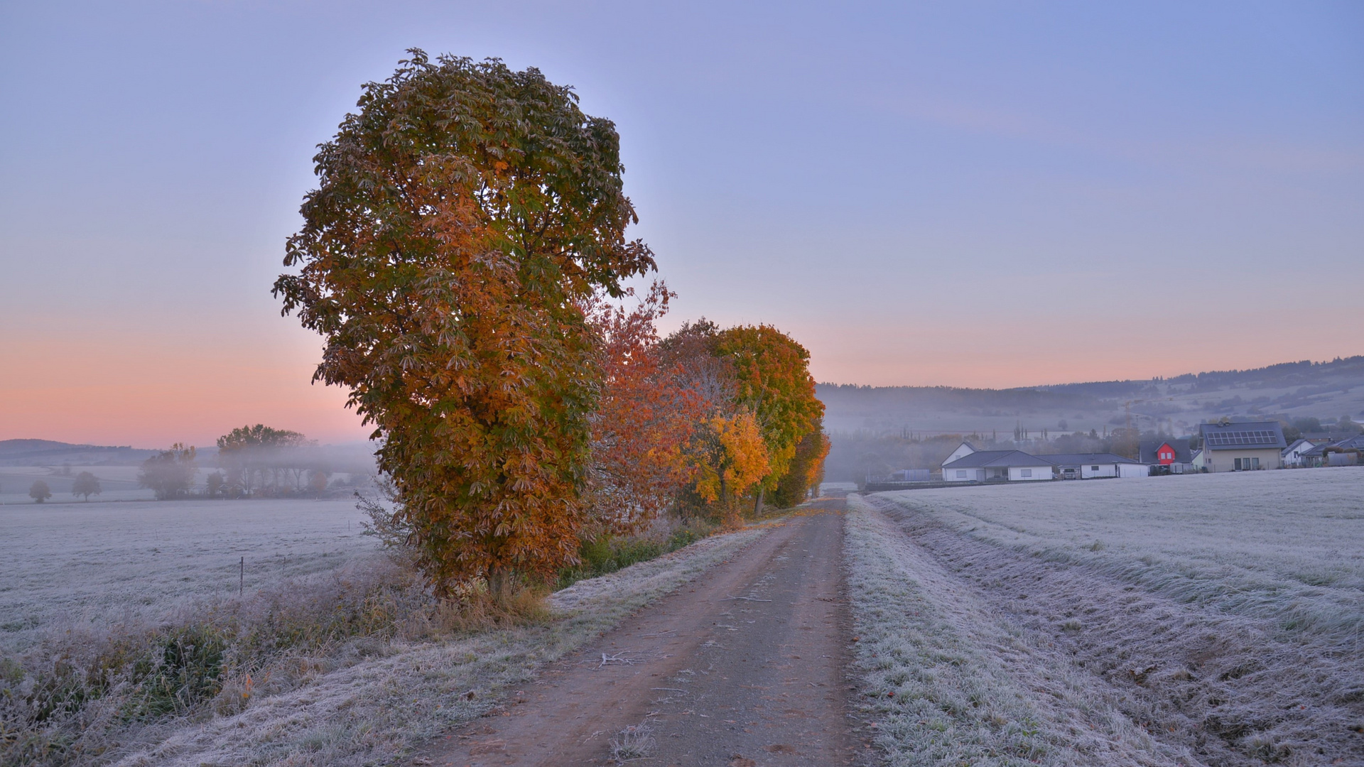 heute Morgen auf dem Weg zum See