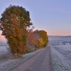 heute Morgen auf dem Weg zum See