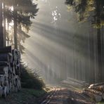 Heute Morgen auf dem Weg zur Dillquelle.