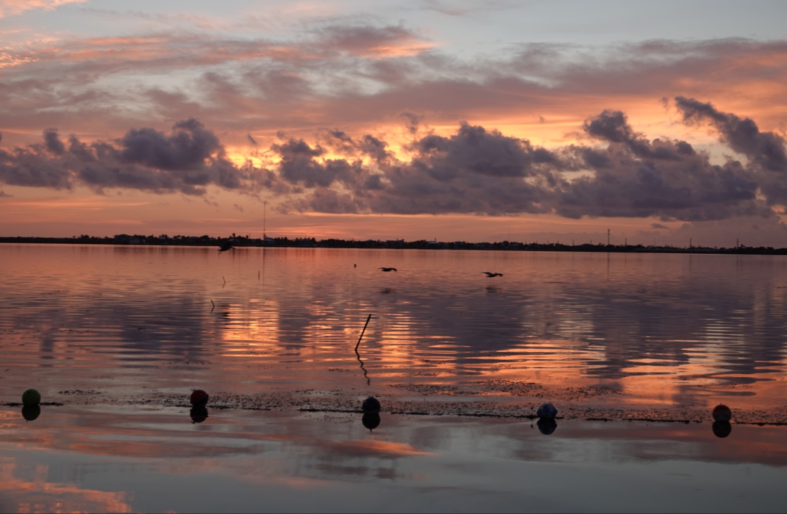 Heute morgen auf den Keys