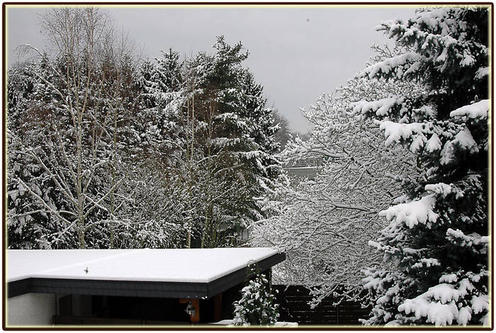 Heute morgen aus dem Fenster geschaut.