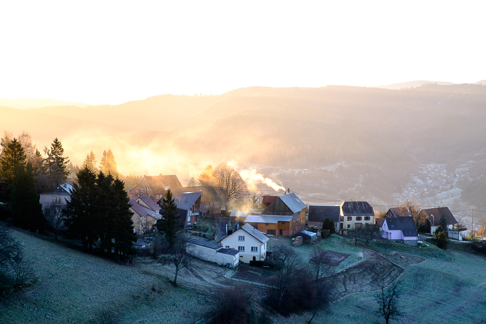 heute Morgen