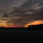 Heute Morgen bei Gildehaus