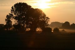 Heute morgen bei Glückstadt....
