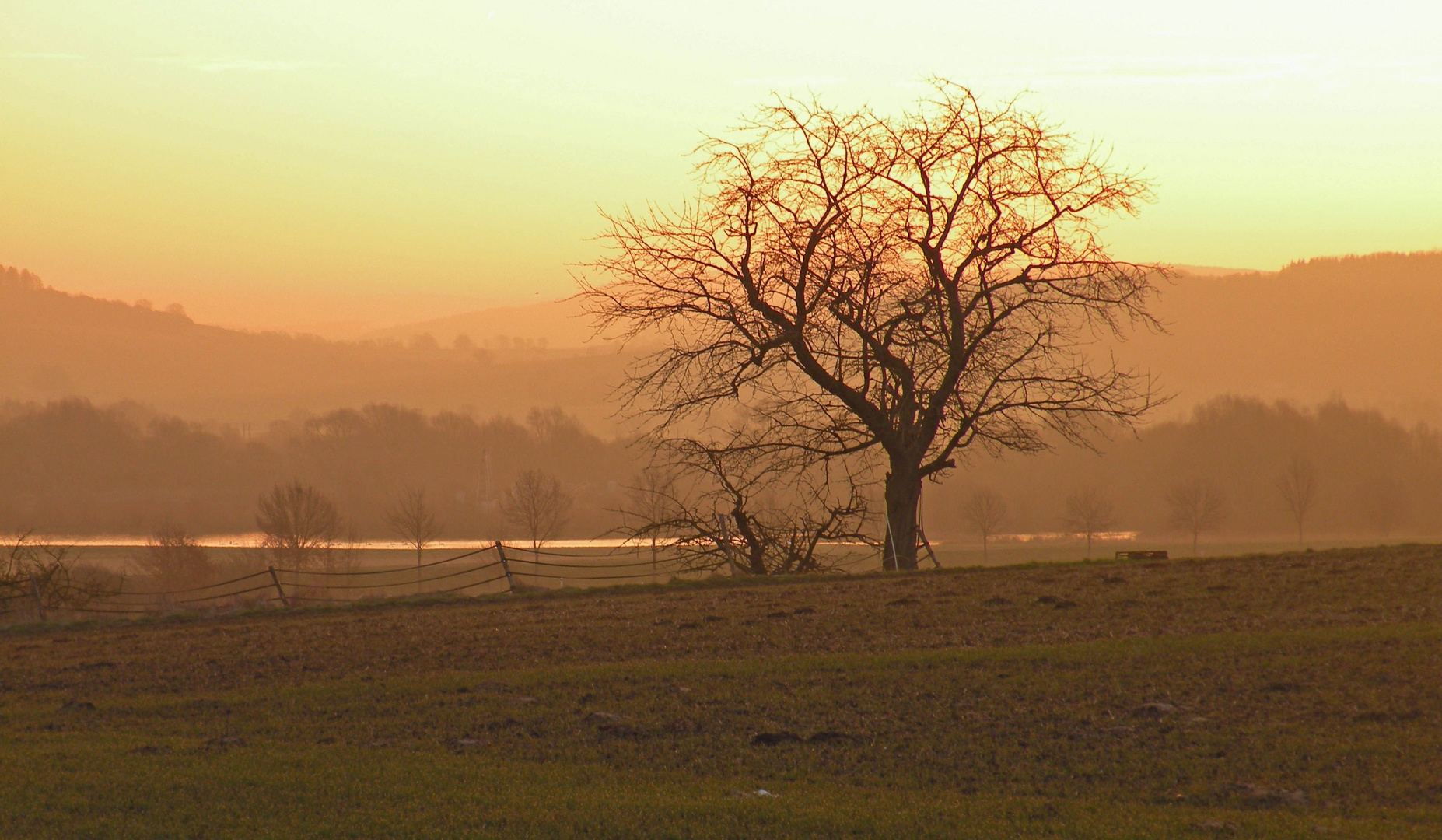 Heute morgen bei Sonnenaufgang ; Geschiebesperre bei Hollenstedt.