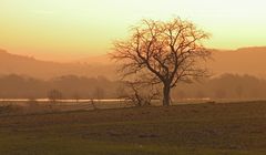 Heute morgen bei Sonnenaufgang ; Geschiebesperre bei Hollenstedt.