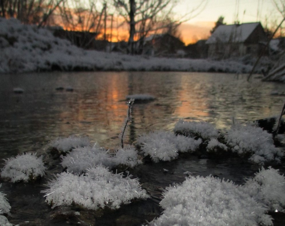 Heute morgen bei uns am Teich...